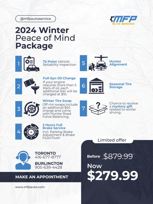 Winter Peace of Mind Package Poster